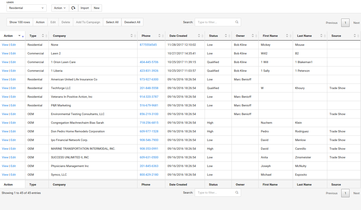 CRM Custom Views