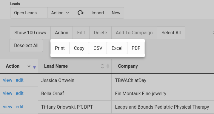 Import and Export Leads Quickly